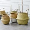 LinnÉA By Sebastian Odenberg / Basket Plant Pot