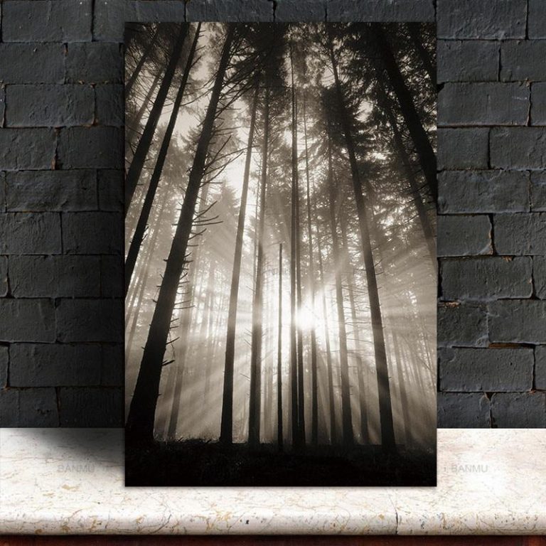 Roll In The Deep | The Forest Canvas print - Wall Art Forest One / 60X90cm