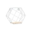 Blankenship By Shields Shelf | Hexagonal Geometric Iron Grid Shelf Shelf White Xo / Large