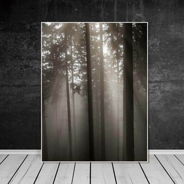 Roll In The Deep | The Forest Canvas print - Wall Art Forest Two / 60X90cm