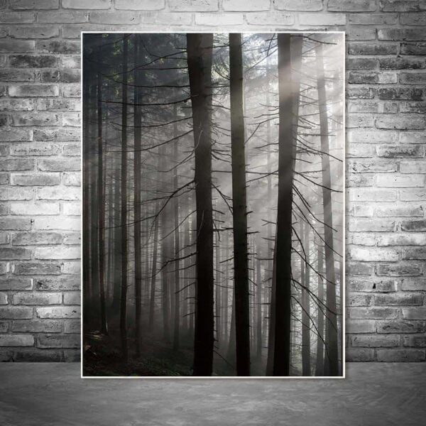 Roll In The Deep | The Forest Canvas print - Wall Art Forest Three / 60X90cm