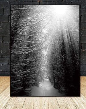 Find Your Fairytale In The Wood | Foggy Winter Forest | Unframed Canvas Art unique and elegant Canvas print - Wall Art 60X90cm