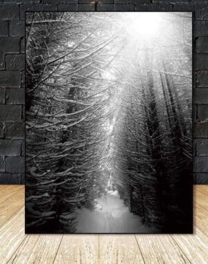 Find Your Fairytale In The Wood | Foggy Winter Forest | Unframed Canvas Art unique and elegant Canvas print - Wall Art